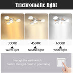 LED Ring Ceiling Light – Integrated LED – Modern – Iron & Acrylic