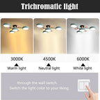 LED Ring Ceiling Light – Integrated LED – Modern – Iron & Acrylic