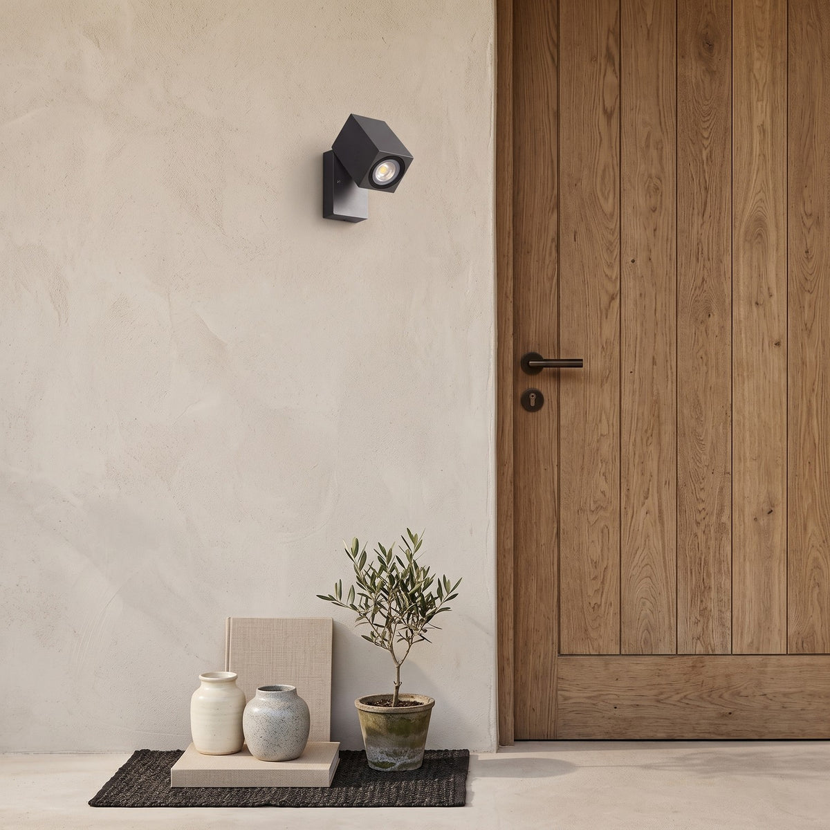 Outdoor Spotlight Wall Light – in a front entrance beside an oak front door